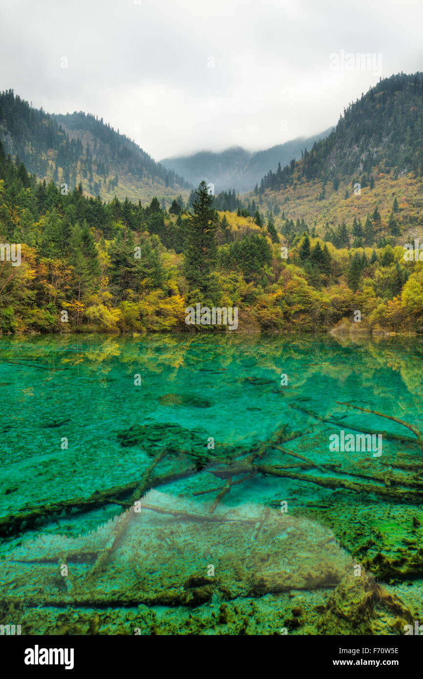 Multi-colore di Lago di Jiuzhaigou Parco Nazionale di Sichuan, in Cina la007638 Foto Stock