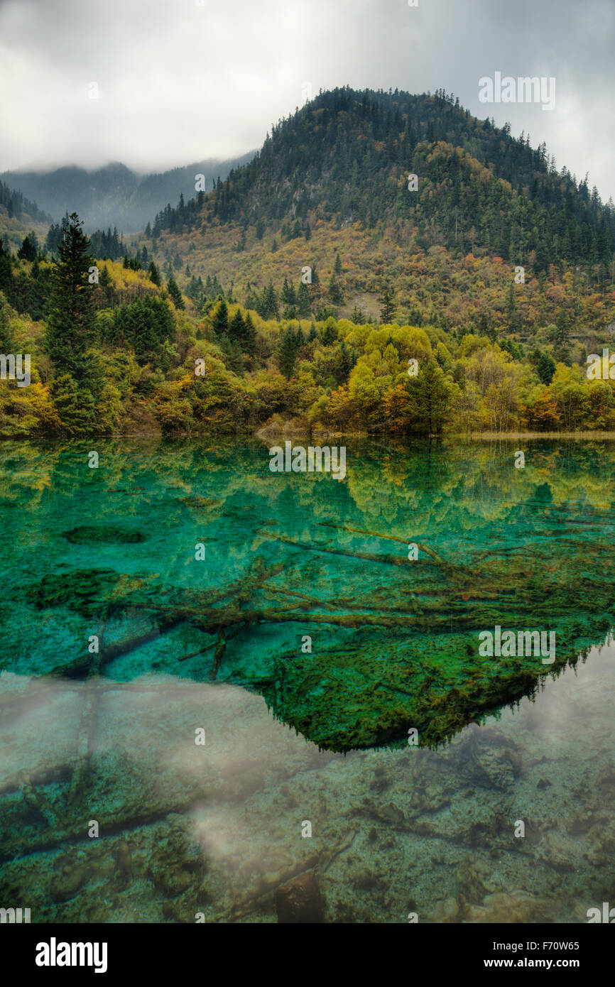 Multi-colore di Lago di Jiuzhaigou Parco Nazionale di Sichuan, in Cina la007646 Foto Stock