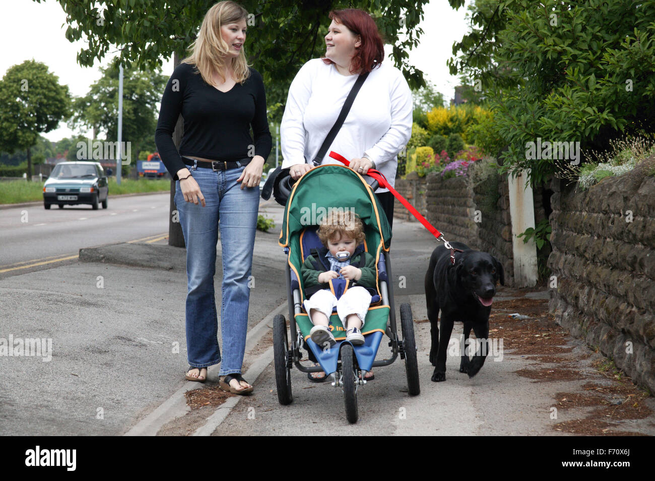 Le donne a spasso con un bimbo nel passeggino e un cane da compagnia, Foto Stock
