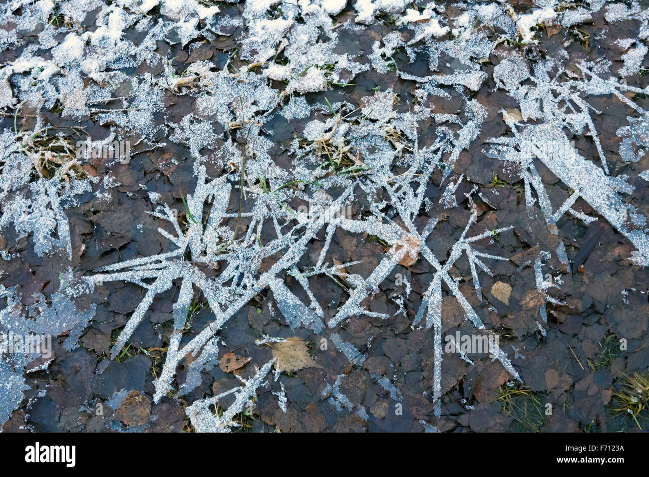 Massa congelata, Finlandia Foto Stock