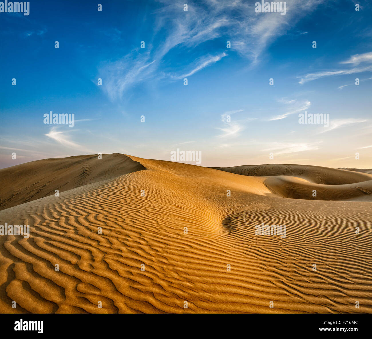 Dune del deserto di Thar, Rajasthan, India Foto Stock