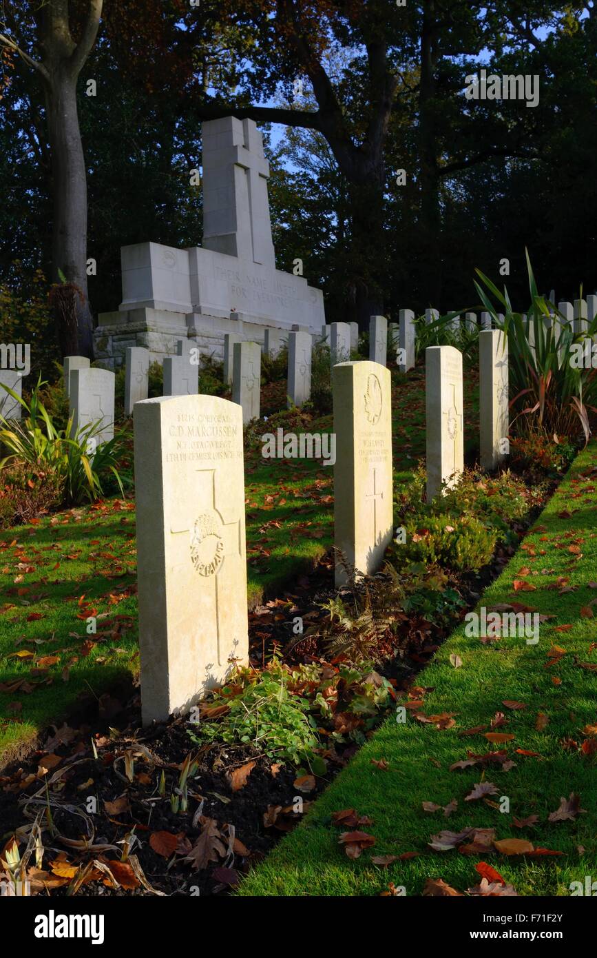 I Guerra Mondiale memoriale per la Nuova Zelanda guerra morto a San Nicola cimitero, Brockenhurst, Hampshire, Regno Unito Foto Stock
