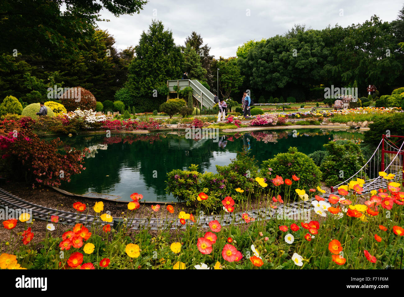 Il parco in miniatura fiori colorati in pianta primavera Foto Stock