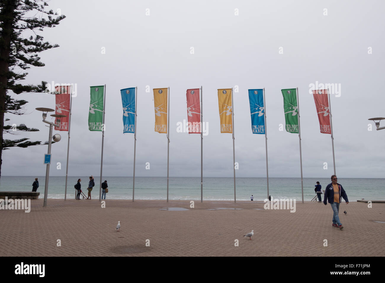 Manly Beach flags Foto Stock