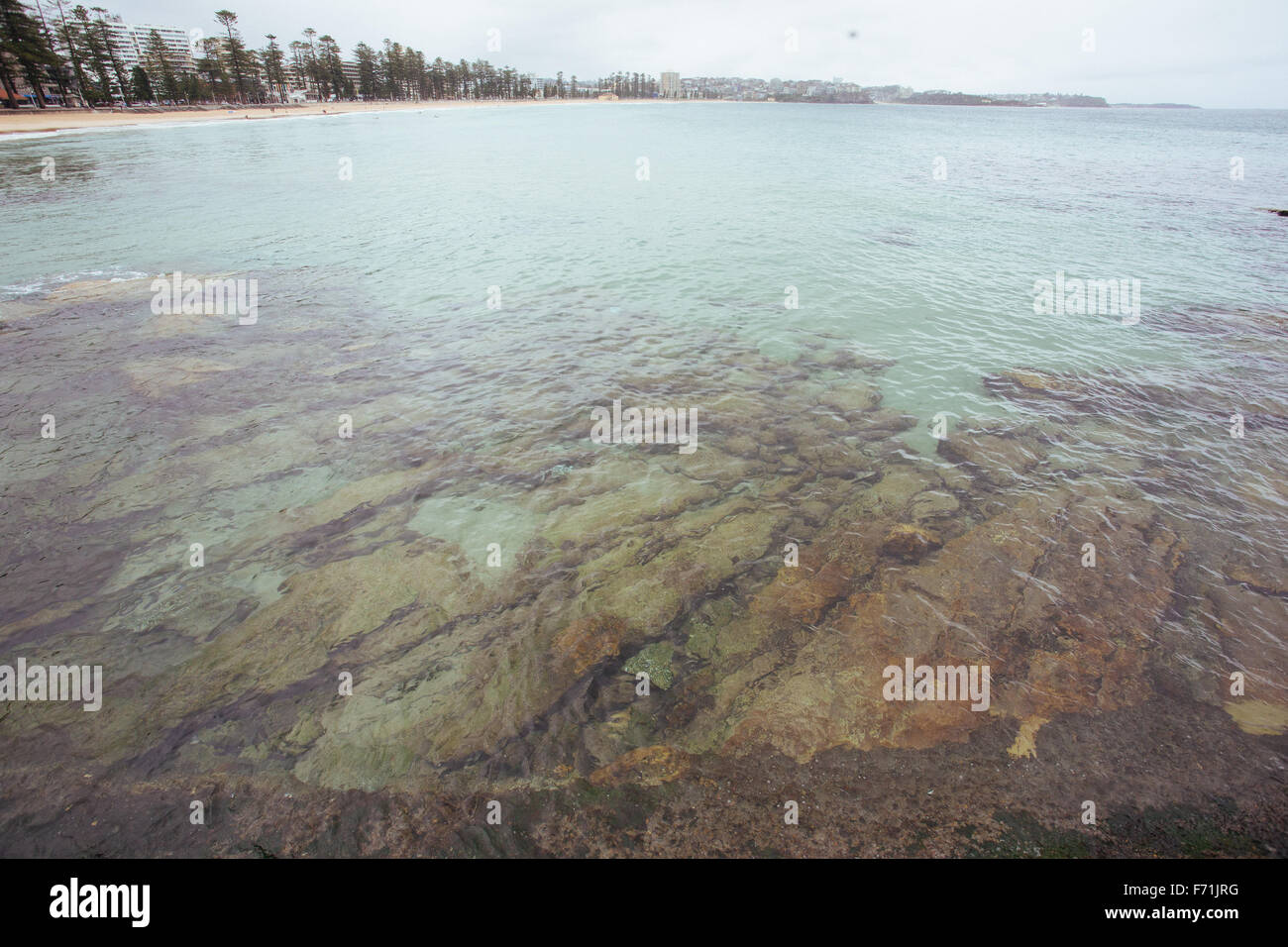 L'acqua chiara Sydney Australia Foto Stock