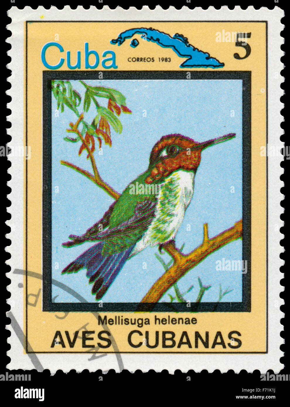 CUBA - circa 1983: un timbro stampato in Cuba mostra bee hummingbird, Mellisuga helenae, con la stessa iscrizione, dalla serie Foto Stock