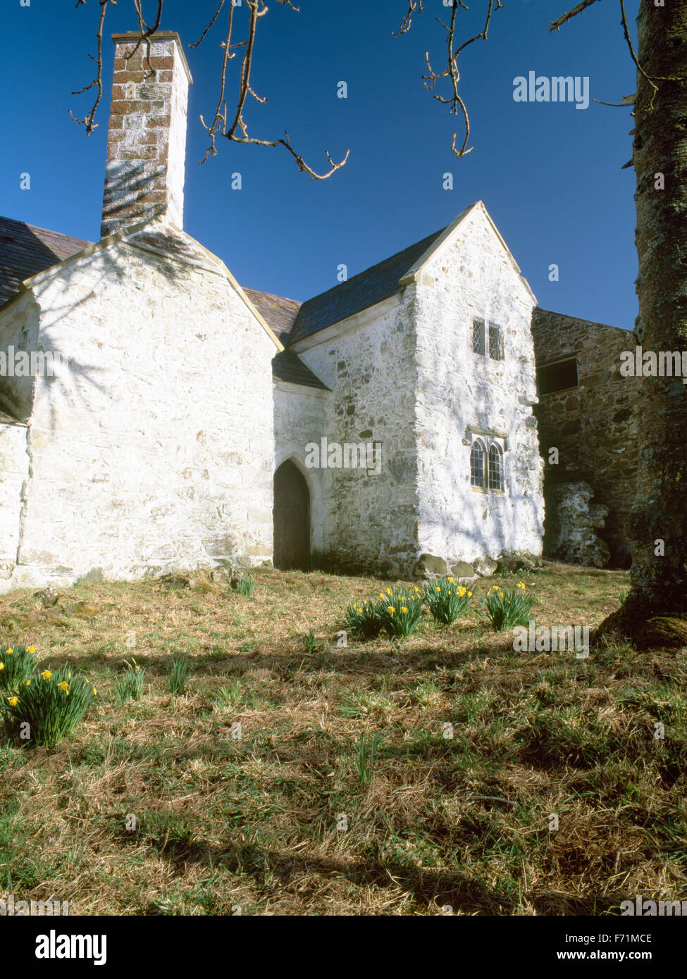 Hafoty hall Tudor House, Llansadwrn, Anglesey, Galles del Nord, Regno Unito Foto Stock