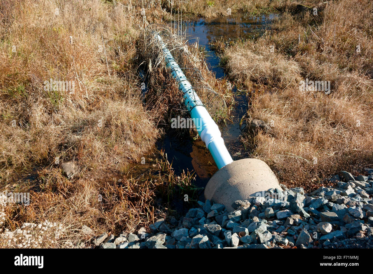 Un dispositivo atto ad impedire il castori o un castoro da bloccare un canale sotterraneo e tubazione di allagamento una strada Foto Stock