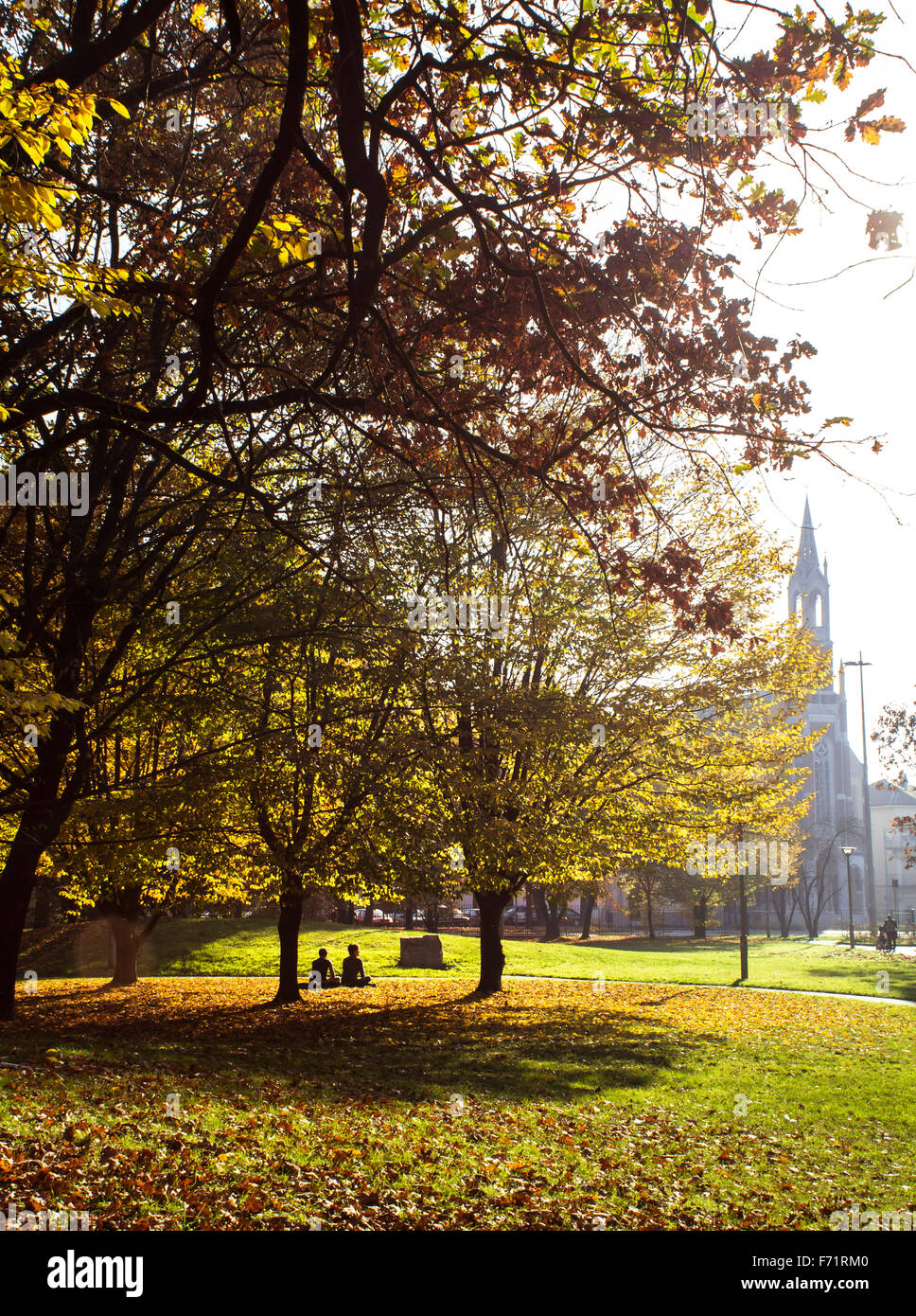 Foglie cadenti d'autunno. Vigevano. Italia Foto Stock