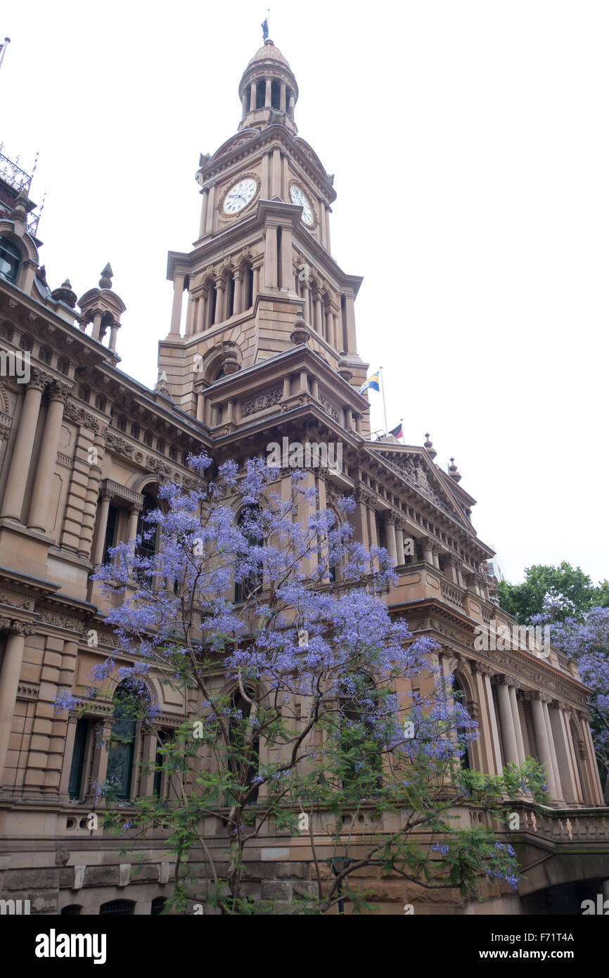 La cattedrale di Sant'Andrea a Sydney Foto Stock