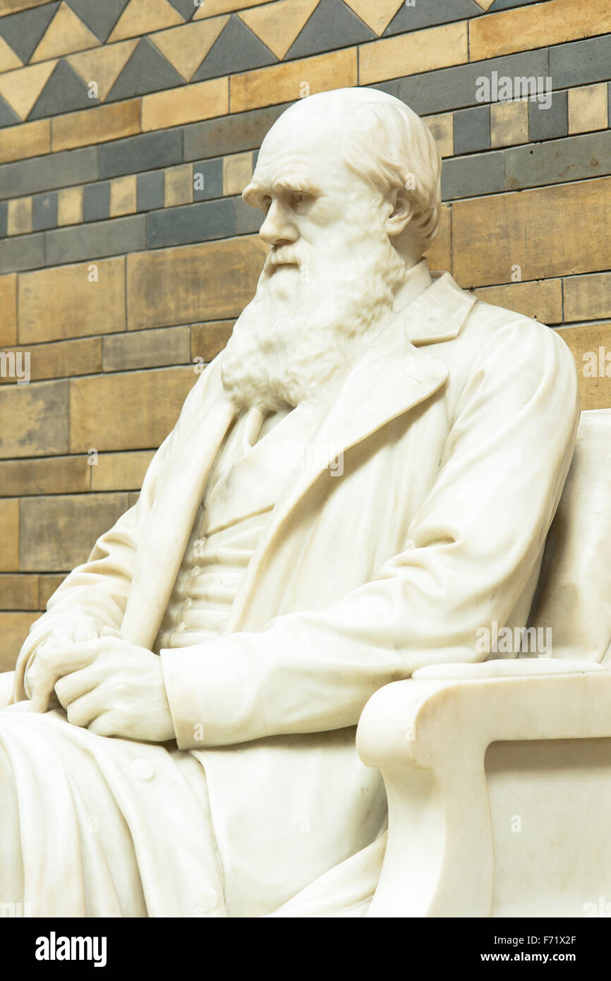 LONDON, Regno Unito - 28 Aprile 2013: Statua di Charles Darwin nella hall principale presso il Museo di Storia Naturale. Foto Stock