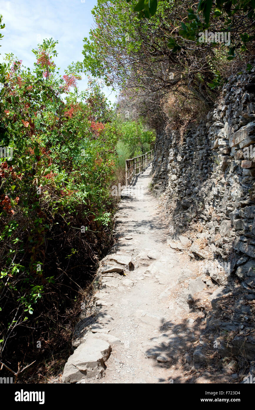 Percorso a piedi tra Corniglia e Venezzia, in Cinque Terre National Park, Italia. Foto Stock