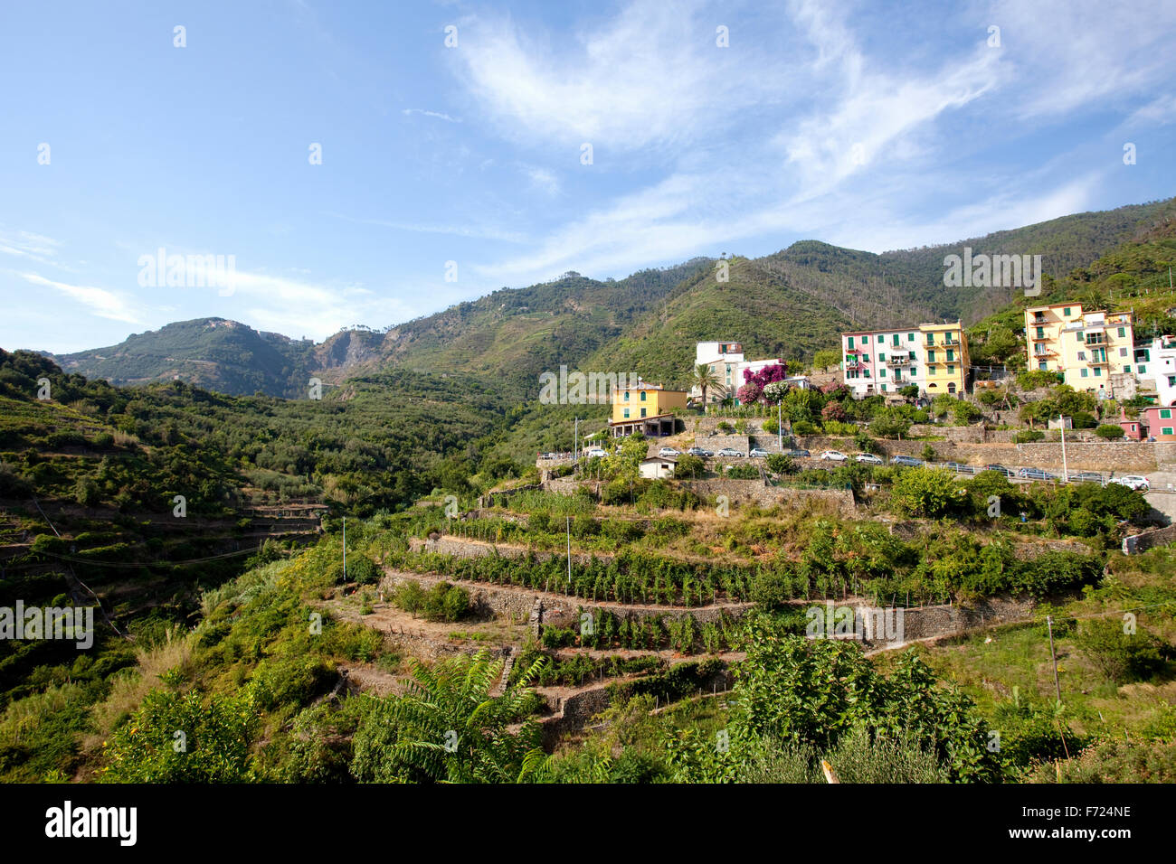 Le colline affacciate Corniglia nel Parco Nazionale delle Cinque Terre. Foto Stock
