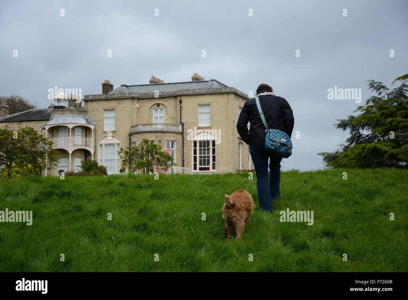 Cane a camminare nel parco Brockwell Foto Stock