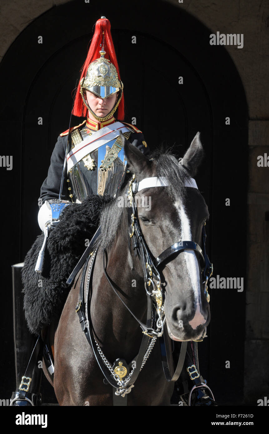 Un soldato montato dal Blues e Royals reggimento dell'Esercito britannico sta di guardia sulla sfilata delle Guardie a Cavallo, Whitehall, Londra. Foto Stock