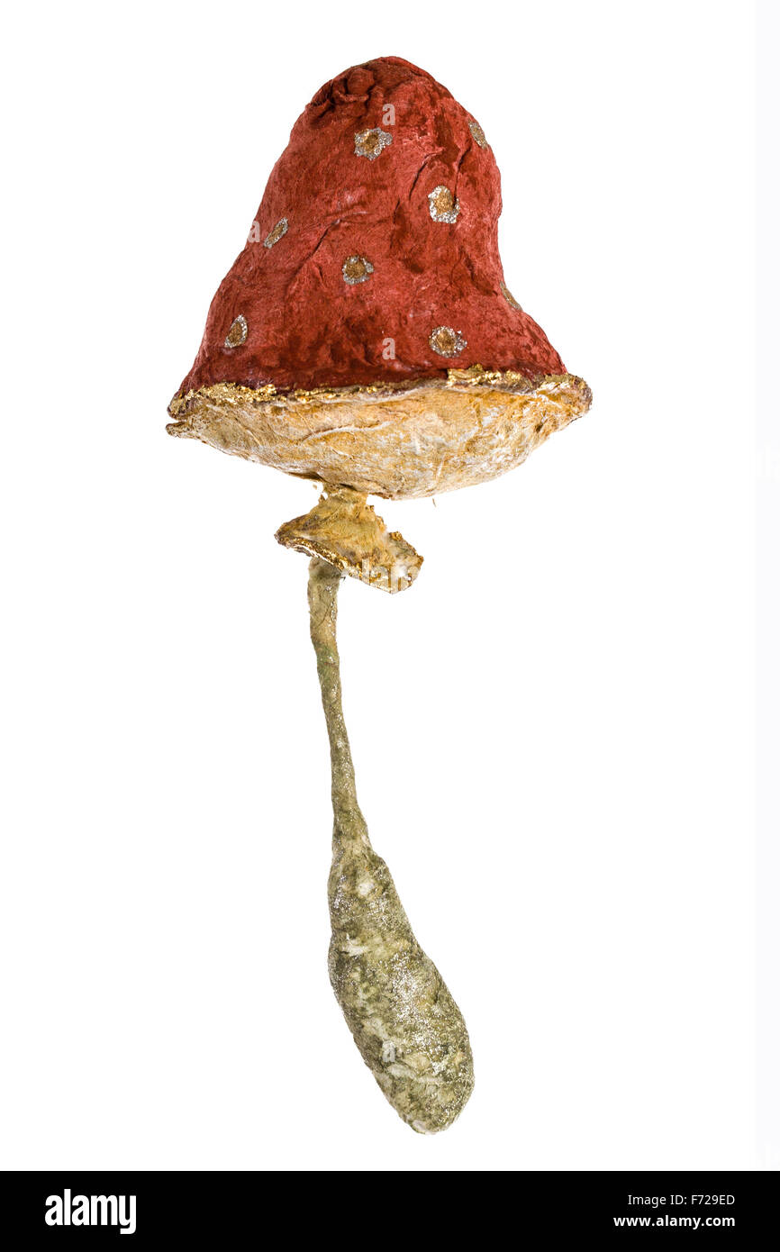 Mushroom - giocattolo artigianale, isolato su sfondo bianco Foto Stock