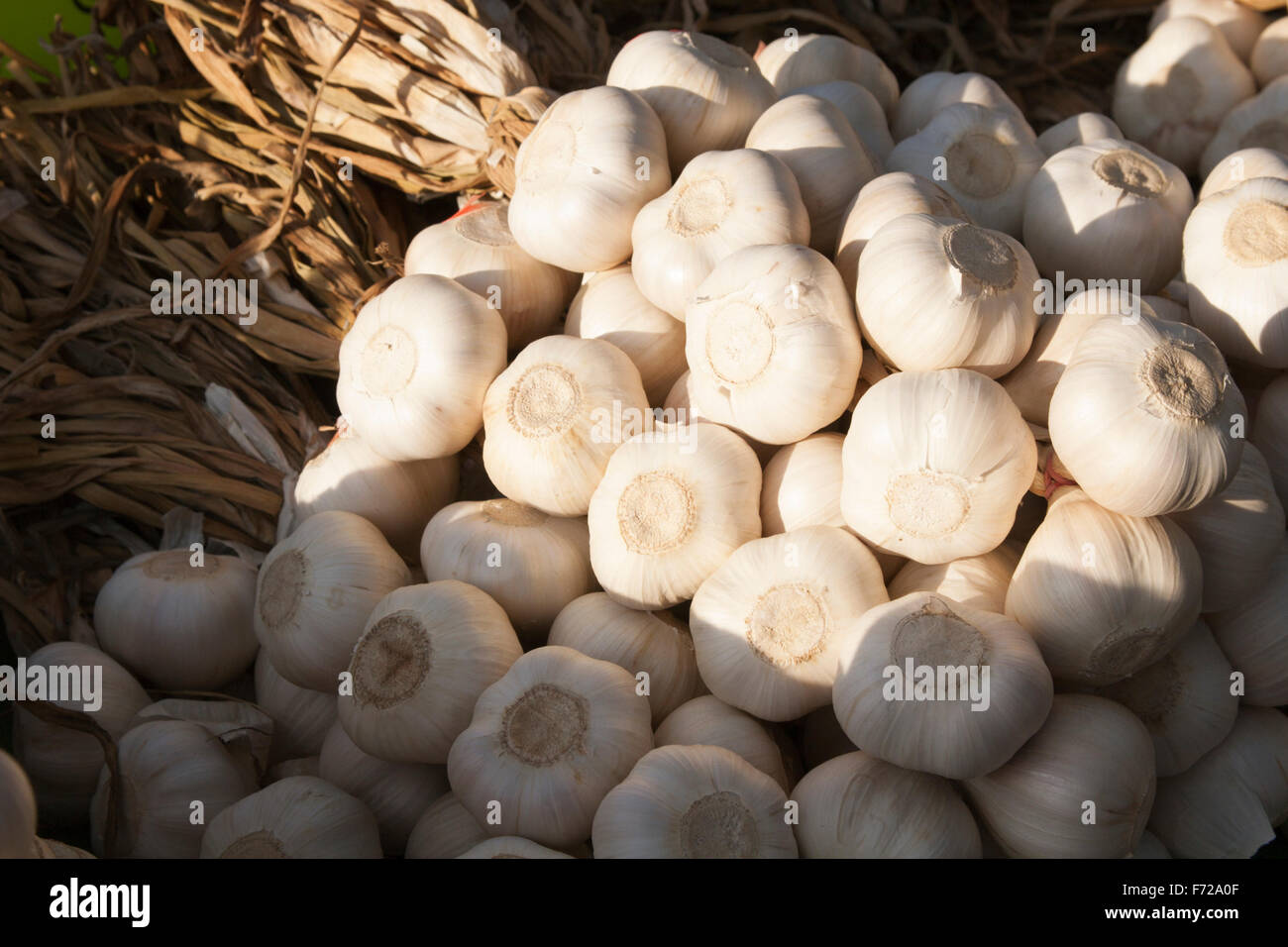 Bulbi di aglio in vendita in Byward Market alimentare stalla, Ottawa, Ontario, Canada Foto Stock