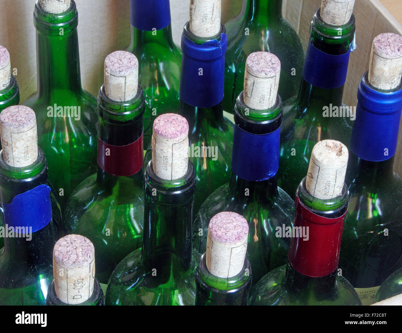 Svuotare le bottiglie di vino con tappi in legno in piedi in una riga Foto Stock