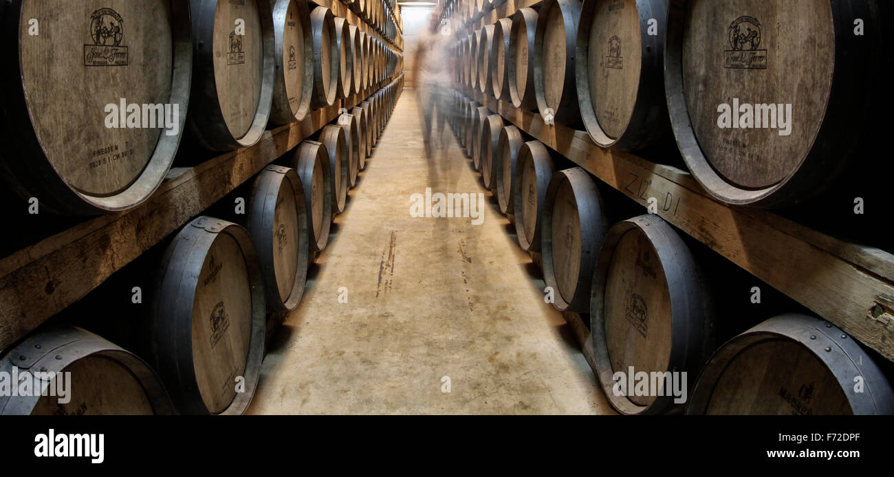 Botti da vino sono impilati su una cantina in un vigneto nell'isola di Mallorca Foto Stock