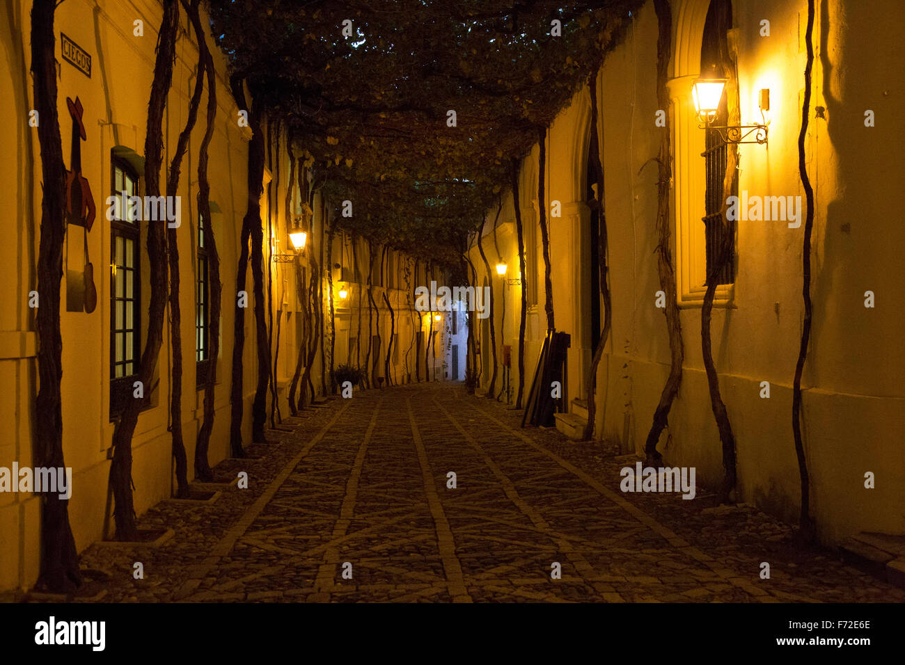 Storica strada acciottolata Calle Ciegos illuminato di sera, Gonzalez Byass bodega, Jerez de la Frontera, Spagna Foto Stock