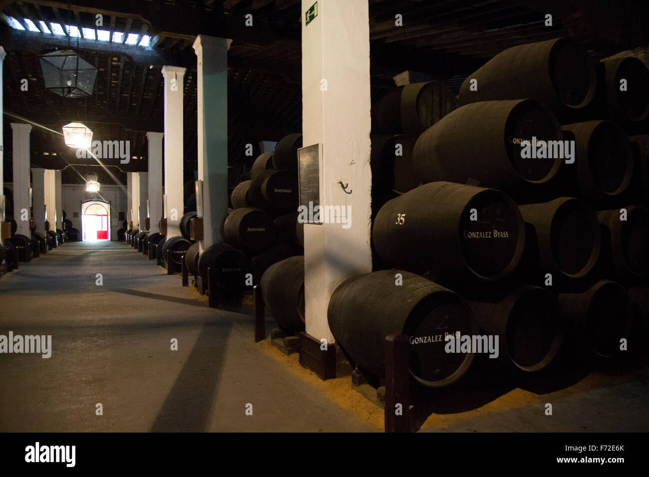 In botti di rovere di sherry di maturazione del vino in cantina, Gonzalez Byass bodega, Jerez de la Frontera, la provincia di Cadiz Cadice, Spagna Foto Stock