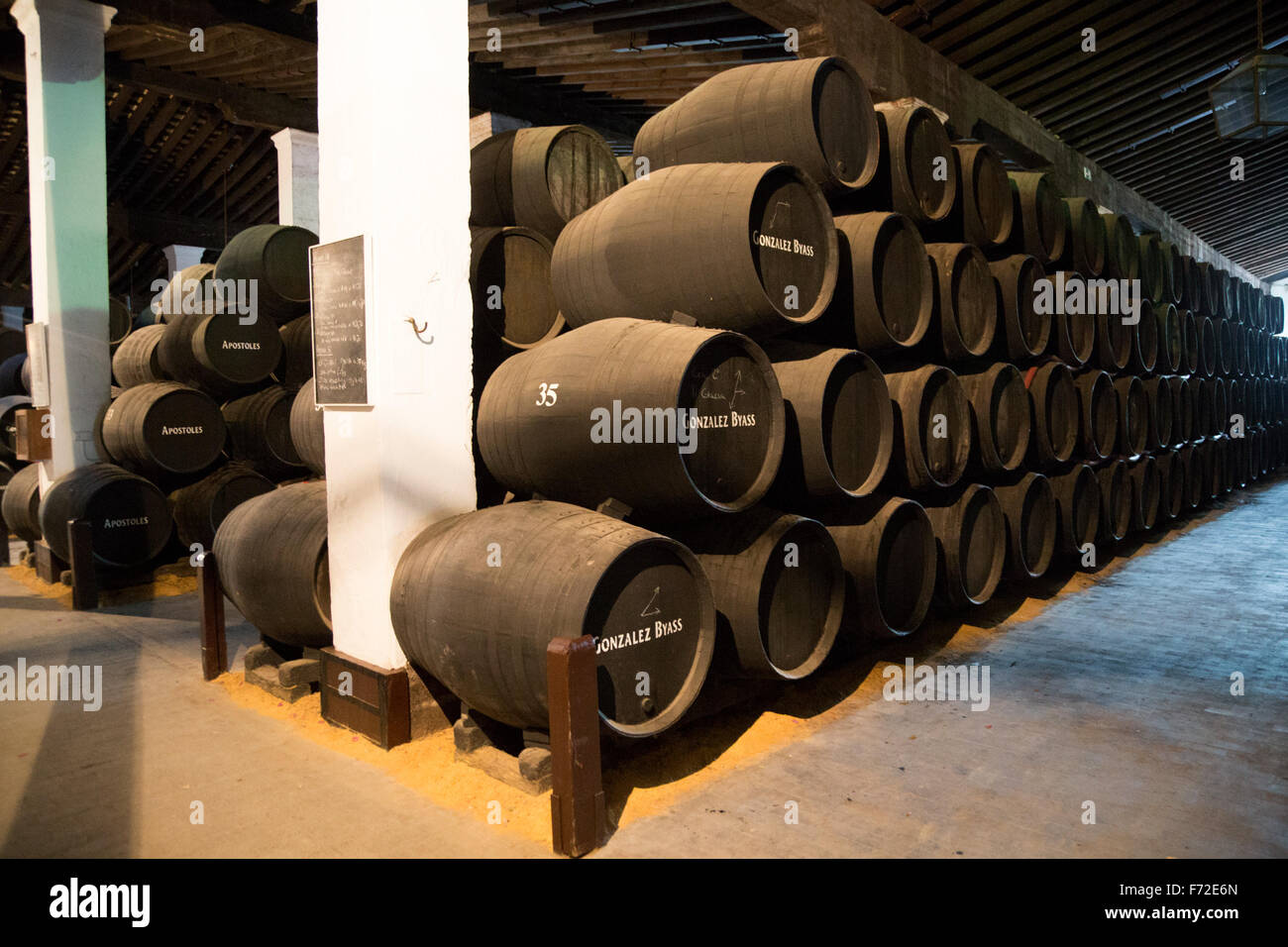 Botti di rovere per la maturazione del vino di Xeres cantina, Gonzalez Byass bodega, Jerez de la Frontera, la provincia di Cadiz Cadice, Spagna Foto Stock