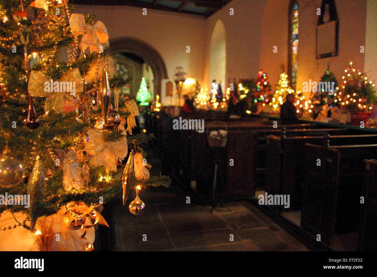 Tress sono decorate per un Festival degli alberi di Natale all'interno di St Edmund la Chiesa nel Derbyshire's Peak District, England Regno Unito Foto Stock