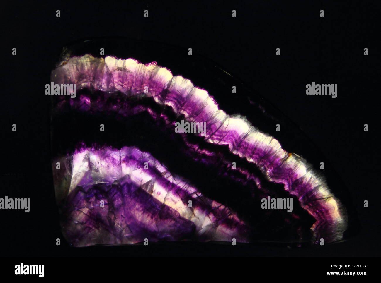 Fette di Blue John stone; un minerale unico per Treak Cliff nel Derbyshire visto retro-illuminato contro uno sfondo nero, Peak District Foto Stock