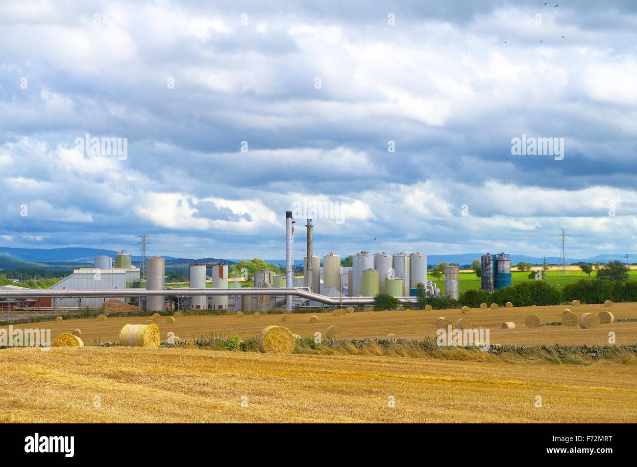 Penrith, Cumbria, Inghilterra. Proteina di Alba Penrith Ltd animale sardigna, fonte di Penrith Pong. Foto Stock