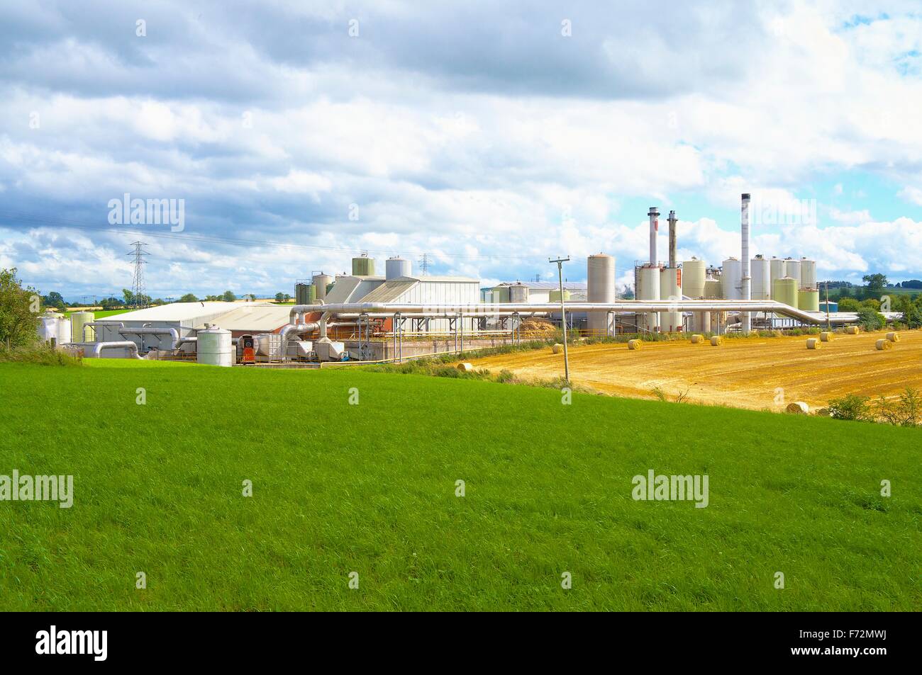 Penrith, Cumbria, Inghilterra. Proteina di Alba Penrith Ltd animale sardigna, fonte di Penrith Pong. Foto Stock