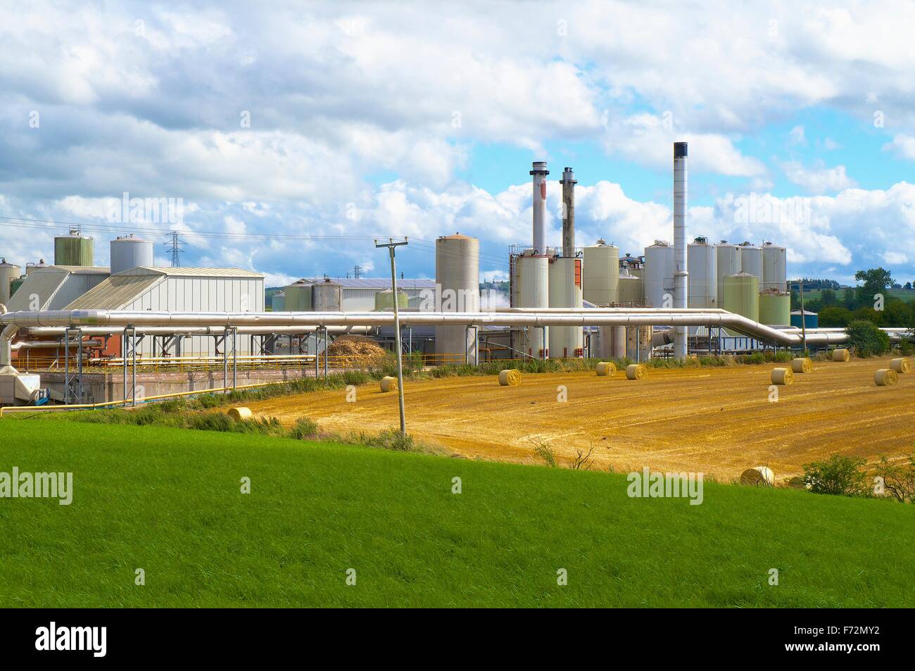 Penrith, Cumbria, Inghilterra. Proteina di Alba Penrith Ltd animale sardigna, fonte di Penrith Pong. Foto Stock