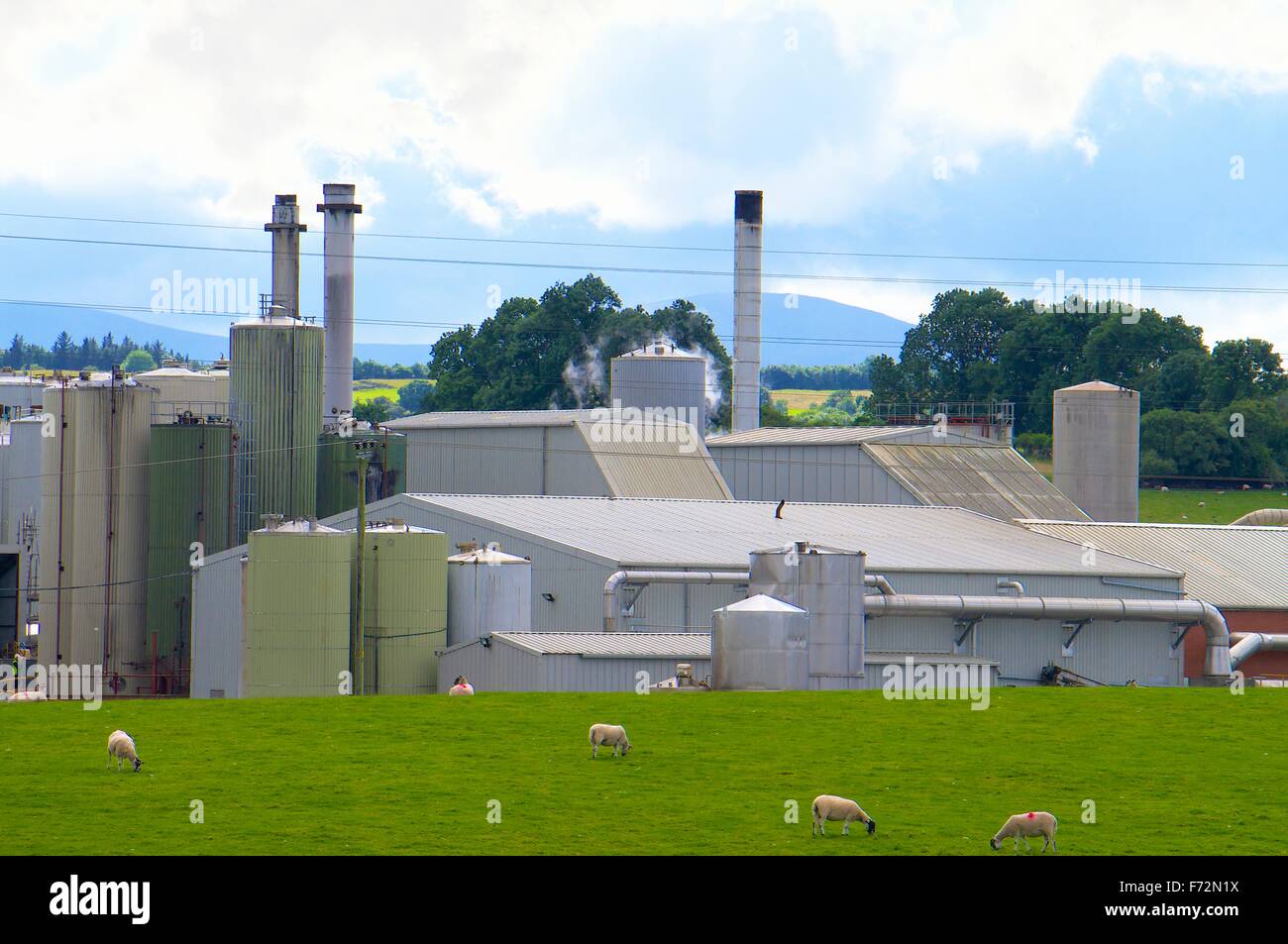Penrith, Cumbria, Inghilterra. Proteina di Alba Penrith Ltd animale sardigna, fonte di Penrith Pong. Foto Stock