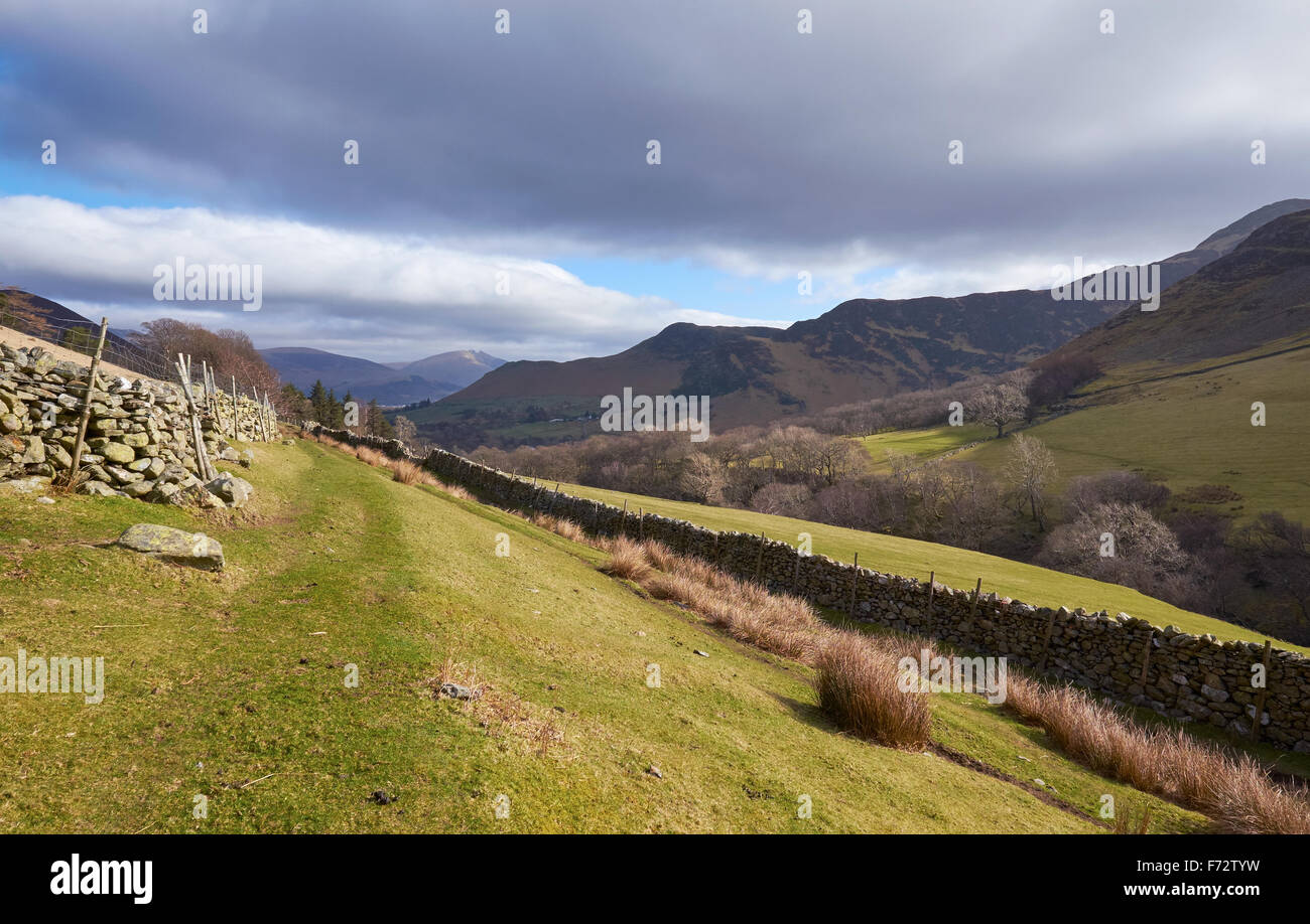 Guardando in giù verso Newlands Beck dal di sotto alta Snab Banca nel Lake District inglese, UK. Foto Stock