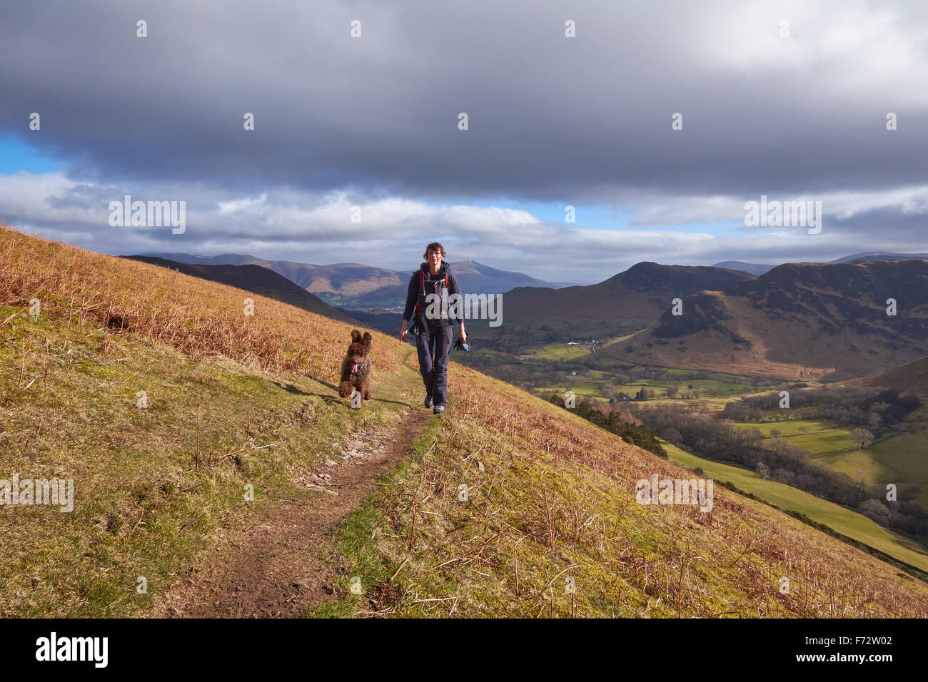 Un escursionista a piedi con il loro cane verso il vertice di Robinson oltre ad alta Snab Banca nel Lake District inglese, UK. Foto Stock