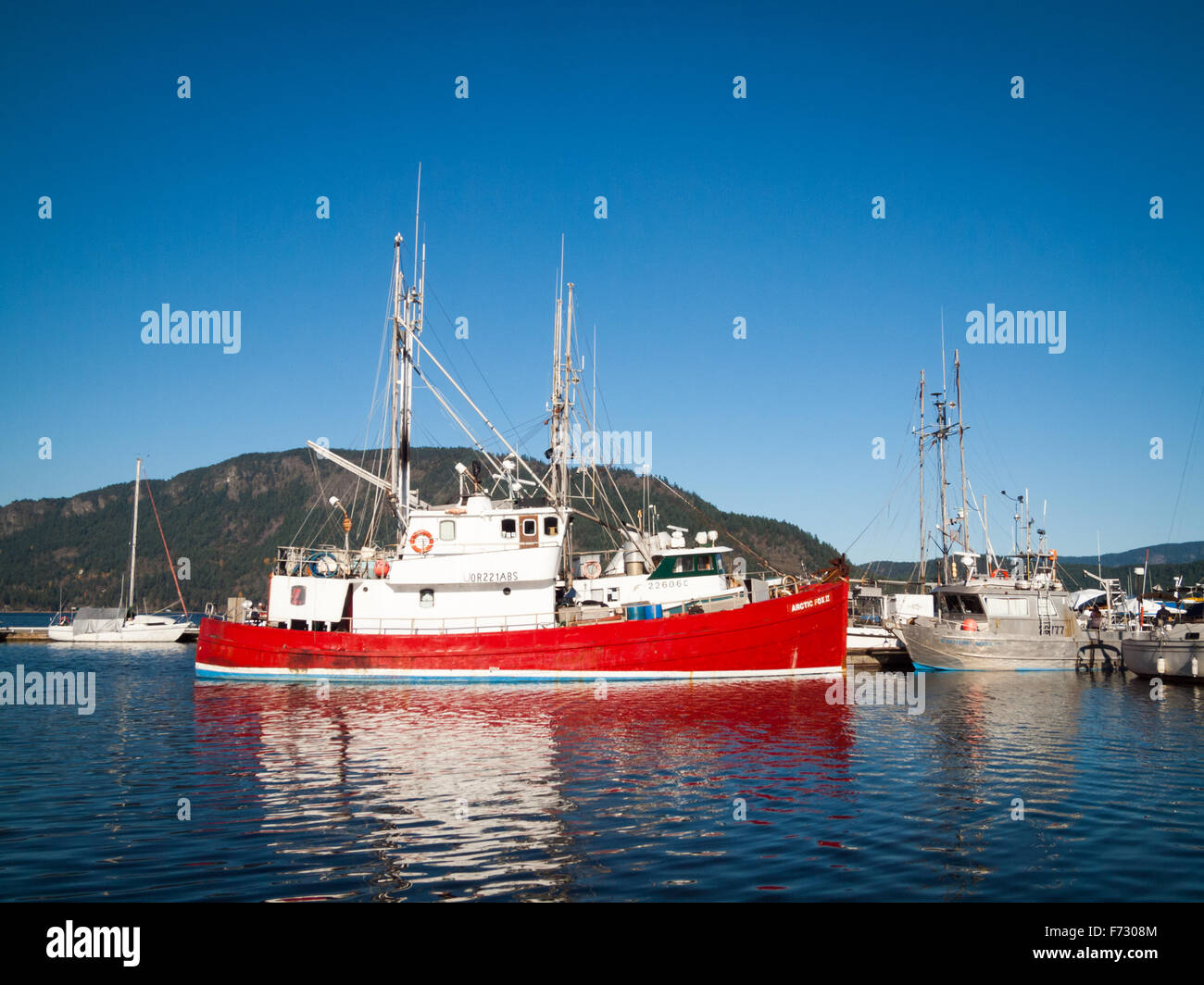 La pesca del tonno barche, salmone barche da pesca ed altre imbarcazioni ormeggiate presso i pescatori's Wharf in Cowichan Bay, BC, Canada. Foto Stock