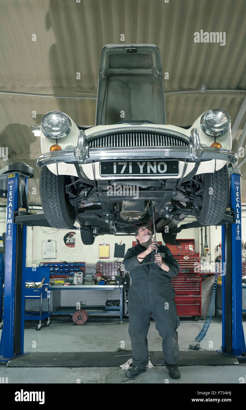 Austin Healey 3000 su un ascensore per auto in riparazione in un auto classica officina Foto Stock