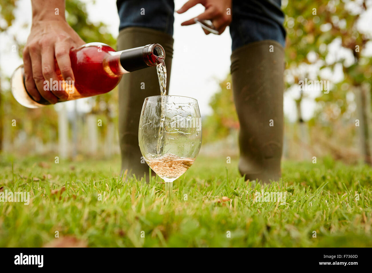 Una persona versando il vino rosato da una bottiglia in un bicchiere. Foto Stock