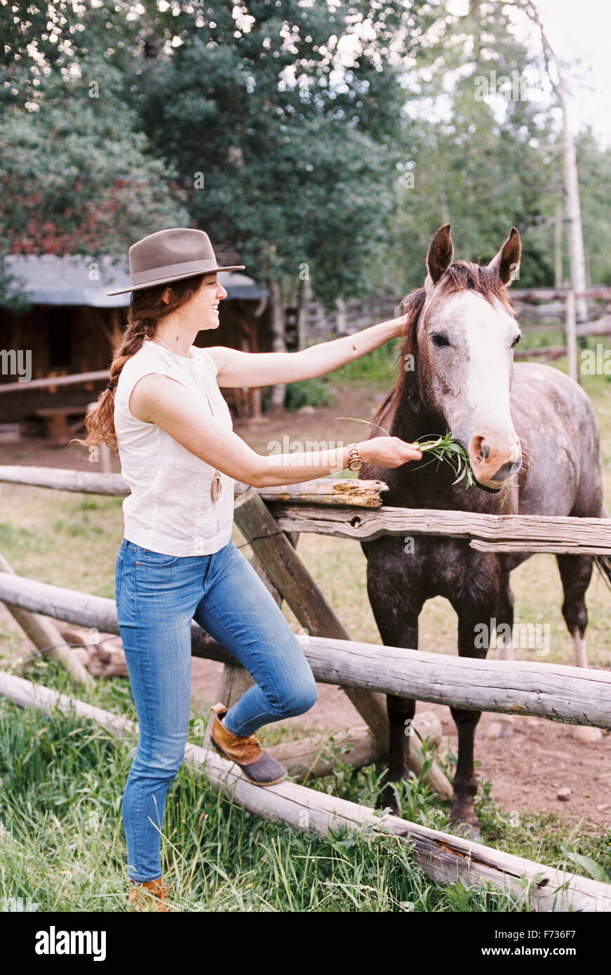 Donna alimentazione di un cavallo in un recinto per un ranch. Foto Stock