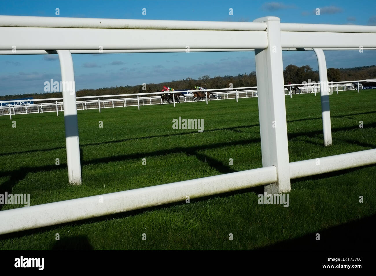 Ascot il giorno della gara,21 novembre 2016. Foto Stock