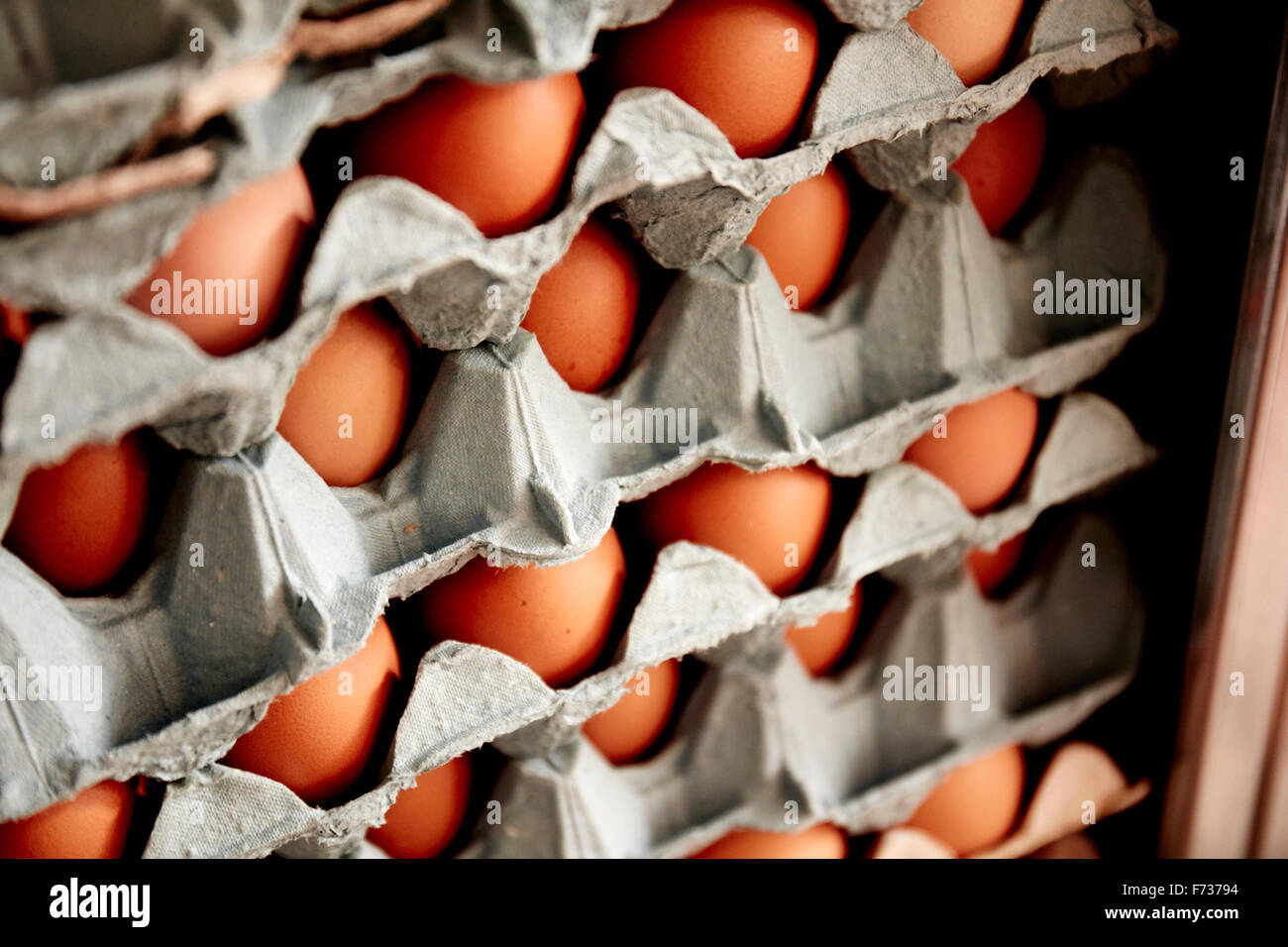 I vassoi di organico senza intervallo di gallina uova impilate con uova di diverse dimensioni e colori. Foto Stock