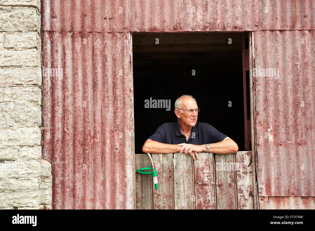 Un agricoltore appoggiato su di una mezza porta guardando al di fuori di un edificio rurale. Foto Stock