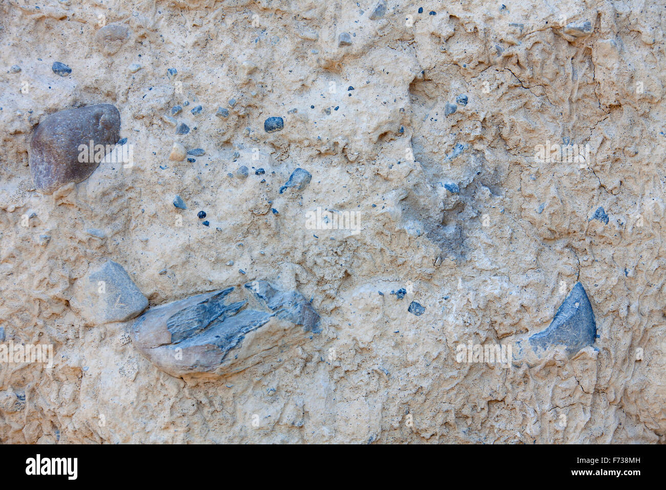 Close up sedimentaria composta da roccia arenaria, piramidi di terra / Hoodoos in Bow Valley, il Parco Nazionale di Banff, Alberta, Canada Foto Stock