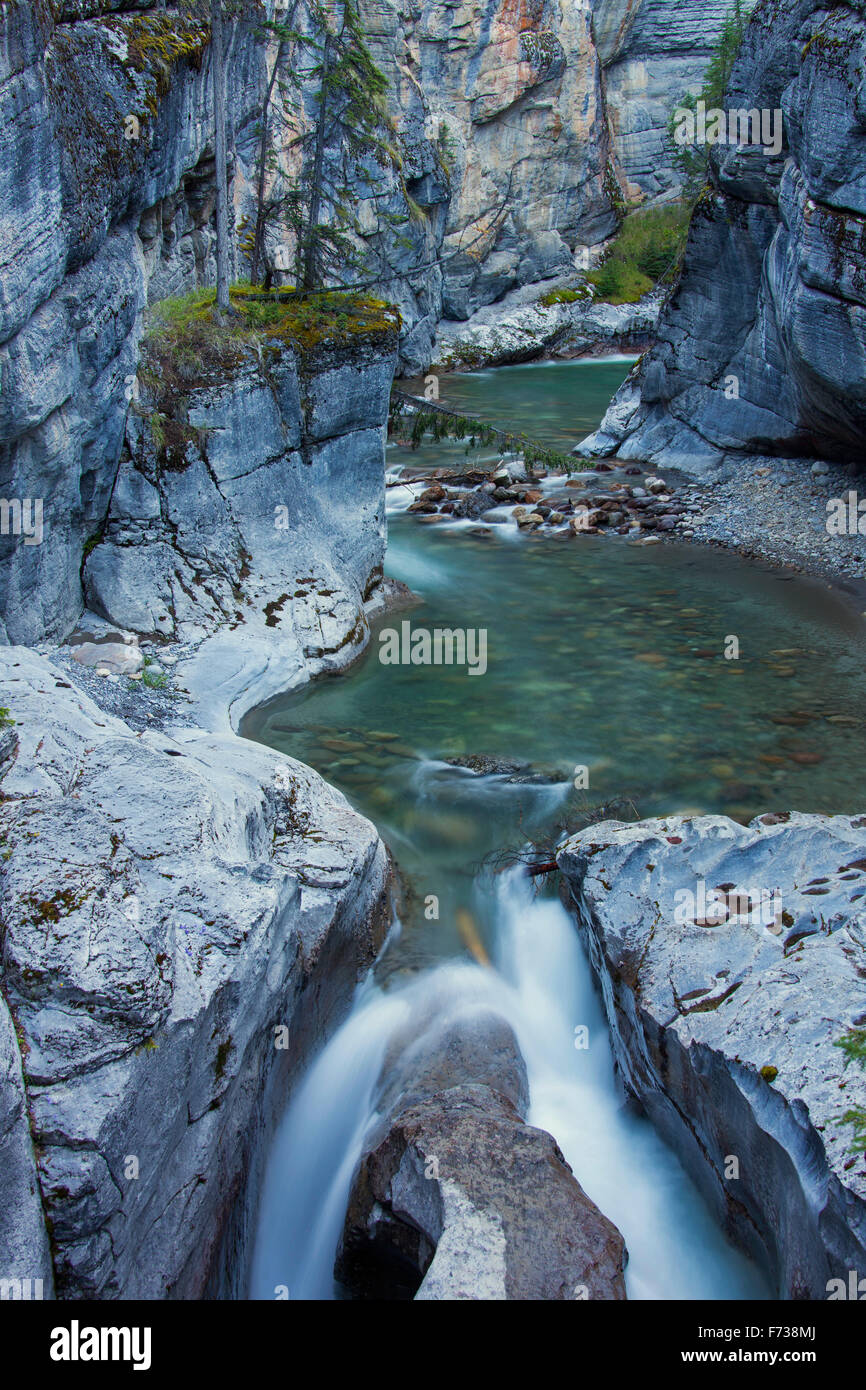 Creek nel Canyon Maligne, Jasper National Park, Alberta, Canadian Rockies, Canada Foto Stock