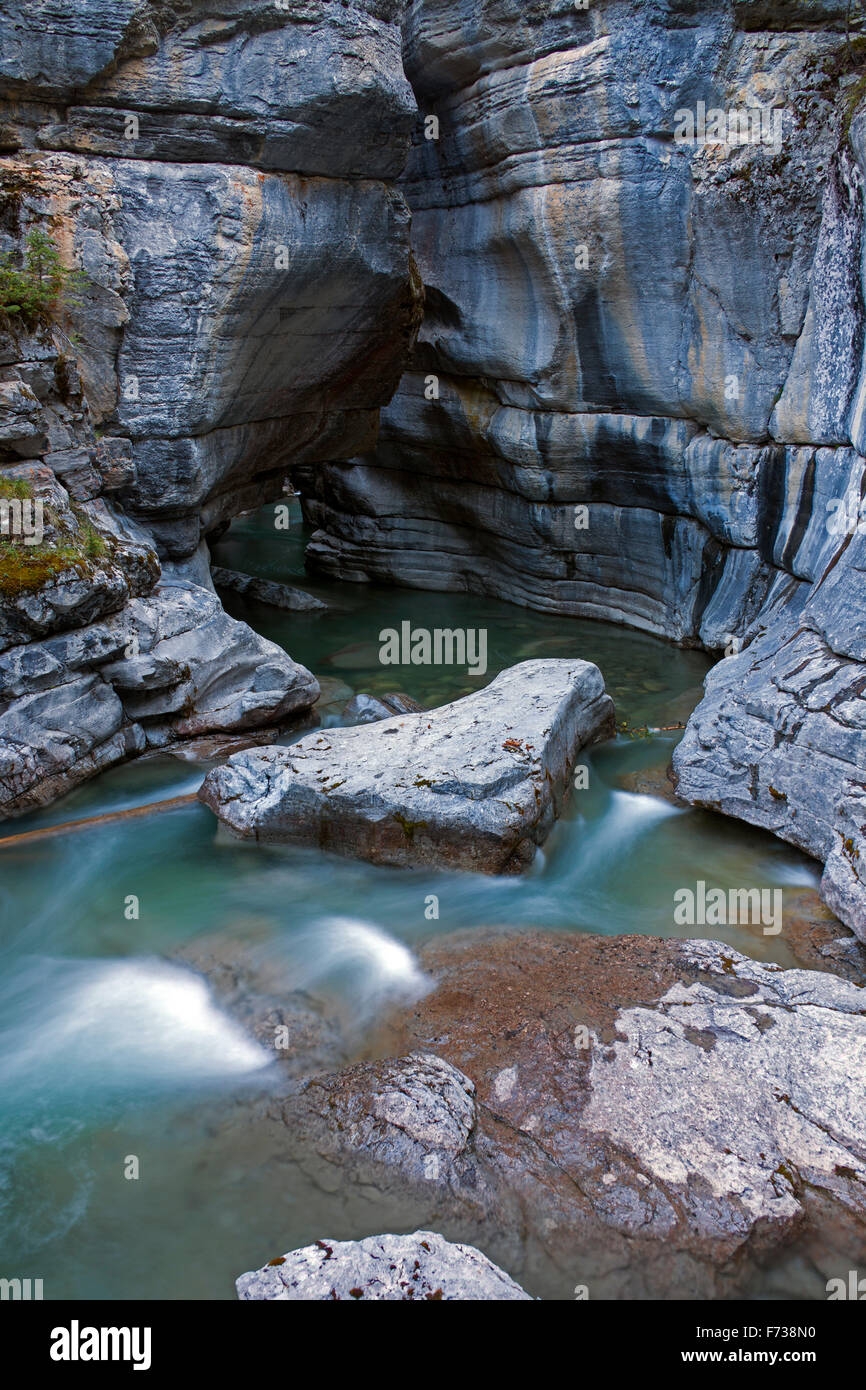 Creek nel Canyon Maligne, Jasper National Park, Alberta, Canadian Rockies, Canada Foto Stock
