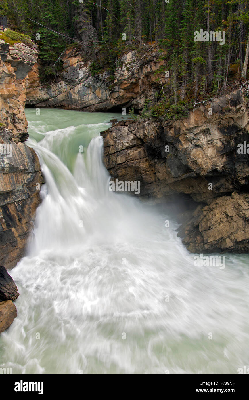 Sunwapta Falls, Cascate Inferiori del Fiume Athabasca nel Parco Nazionale di Jasper, Alberta, Canadian Rockies, Canada Foto Stock