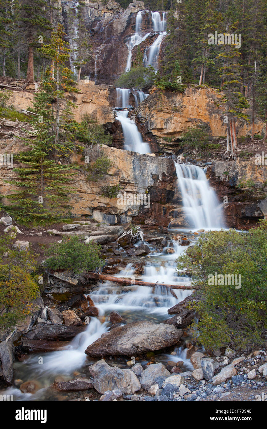 Groviglio Creek Falls, Jasper National Park, Alberta, Canadian Rockies, Canada Foto Stock