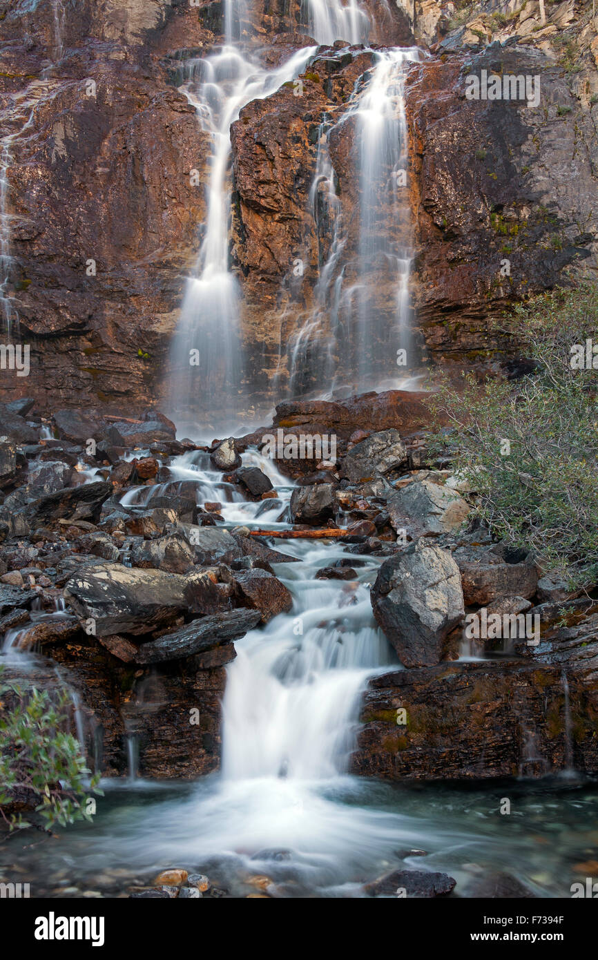 Groviglio Creek Falls, Jasper National Park, Alberta, Canadian Rockies, Canada Foto Stock