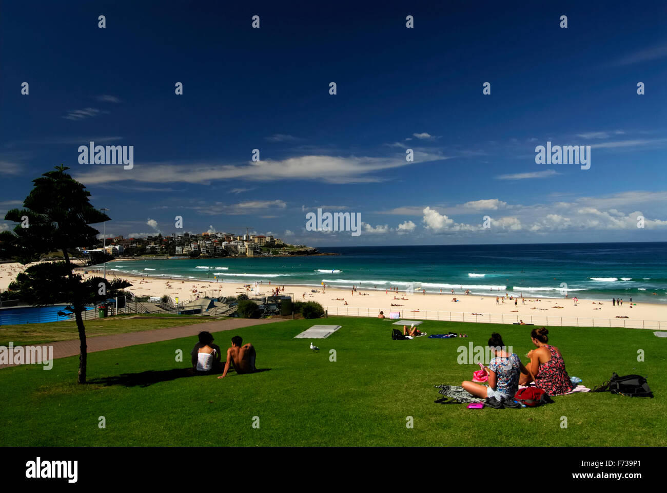 Vista della spiaggia di Bondi dalla riva erbosa. Alcune persone sono sedute sull'erba che si affaccia sulla spiaggia e sul mare, sul bel cielo blu, sulle onde del mare. Foto Stock