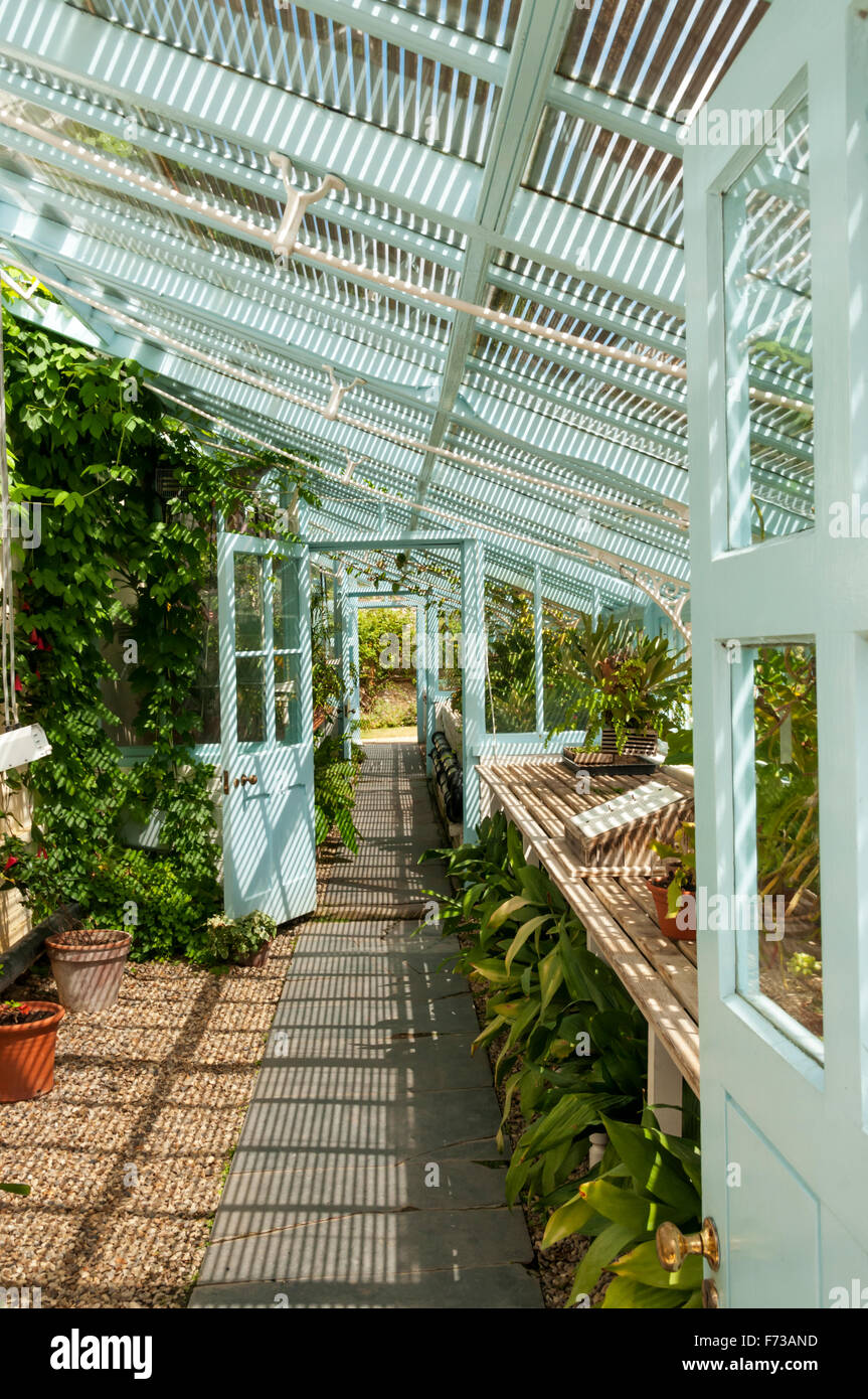 Serra a Down House nel Kent, la casa di Charles Darwin e dove ha lavorato sul suo libro sull'origine delle specie. Foto Stock