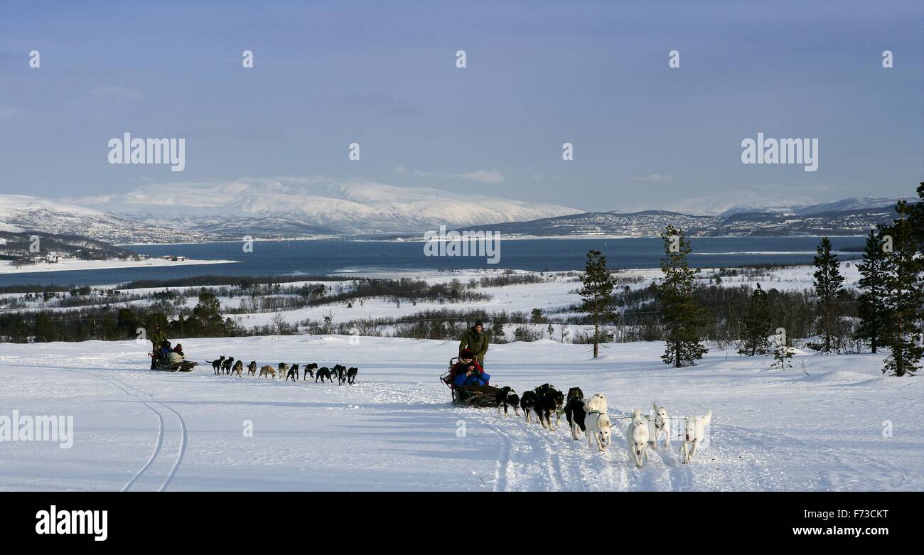Escursione con slitte trainate dai cani in Tromso, Norvegia Villmarkssenter Foto Stock